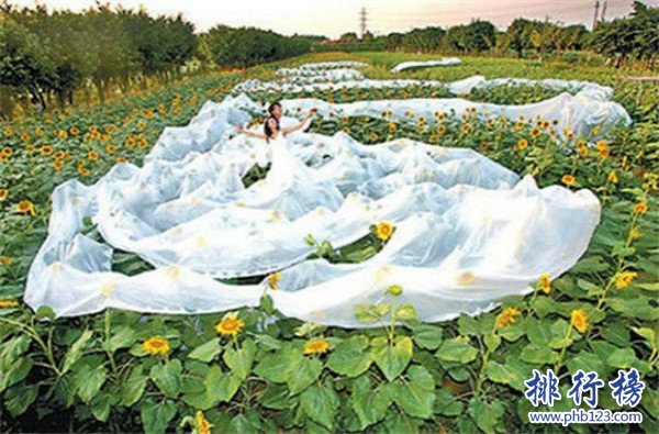 世界上最长的婚纱,中国婚纱长达4100米（40人捧裙摆）